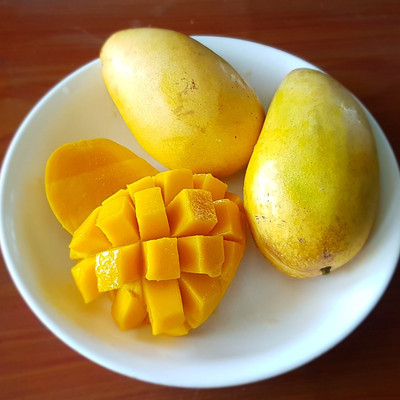 BeauFlora Hybride Mango (Carabao, Pfropfung) exotisch 1 wurzelnackte Pflanze