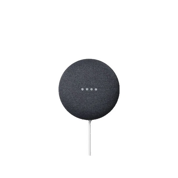 Black Google Assistant Smart Speakers