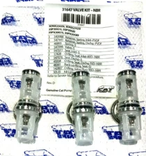 31647 VALVE FOR 3DNX, 3SP , 3SPX CAT PUMP PRESSURE WASHER  PUMPS
