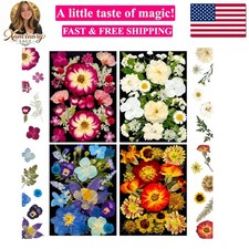 92Pcs Pressed Dried Flowers for Resin, Real Assorted Natural Bulk Dry Floral ...