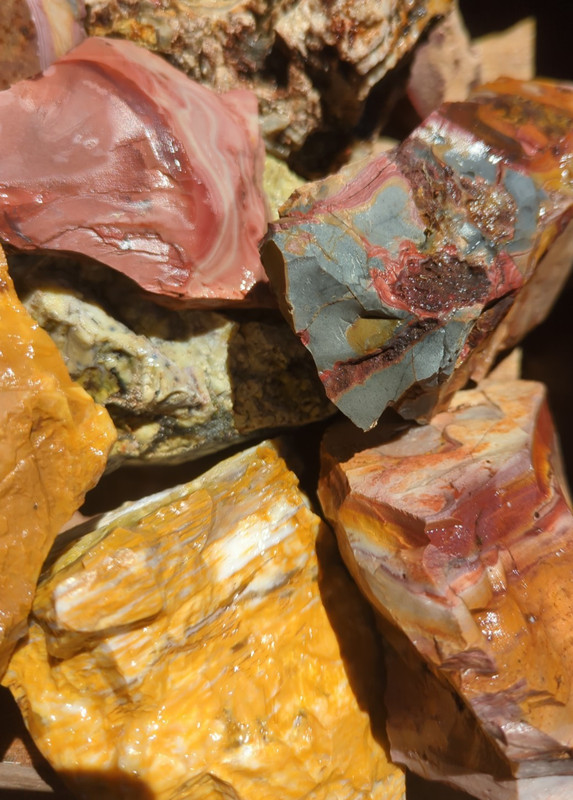 Rock Hunter's Delight | 25 LB Rough Rock | Howardite & Dead Camel Dominate