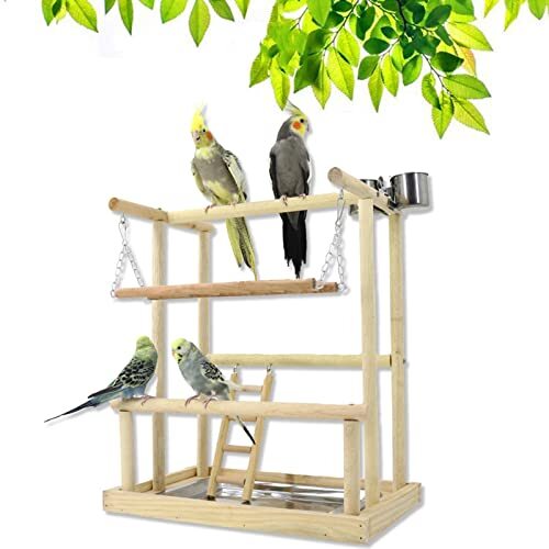 RoseFlower Parrots Bird Playground Birdcage Playstand Wooden Bird Play ... - Parrot Playstand With Observation Window