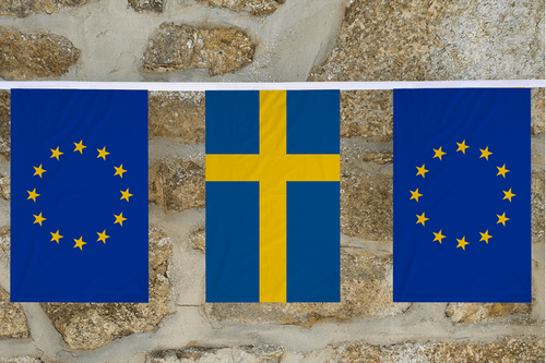 European Union and EU Countries Flag Friendship Bunting - MADE IN THE UK - Picture 28 of 28