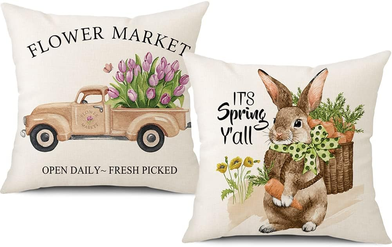 Spring Easter Pillow Covers Set of 2 with Rabbit Bunny Carrot Truck Design