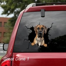 LARGE-SIZED CAR DECALS - GREAT DANE - 3 CHOICES