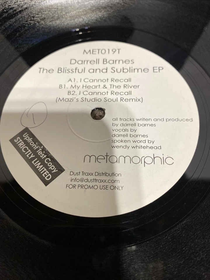 Darrell Barnes The Blissful And Sublime EP Foto 4 de 4