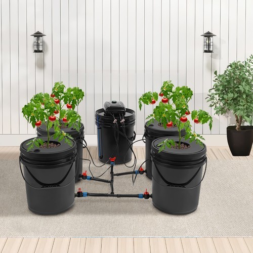 Hydroponics Growing System Kit with Pump for Indoor Garden & Fresh Produce