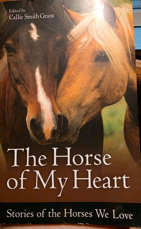 The Horse Of My Heart By Callie Smith Grant