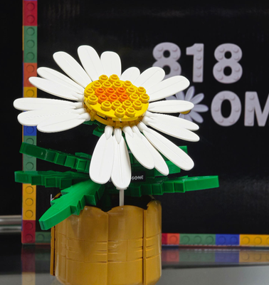 G-DRAGON GD 818 BLOOM PEACEMINUSONE OFFICIAL LIMITED EDITION Daisy