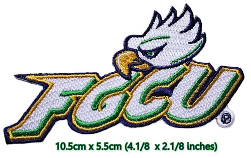 Florida-GOTORS-HURRICANES-FIU-FSU-SportS Patches (Select options)✈Thai by USPS - Picture 47 of 48