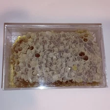 Pennsylvania Wildflower raw Cut Comb Honey  2”x 4” Honeycomb