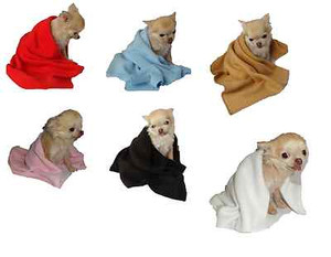 small dog blanket