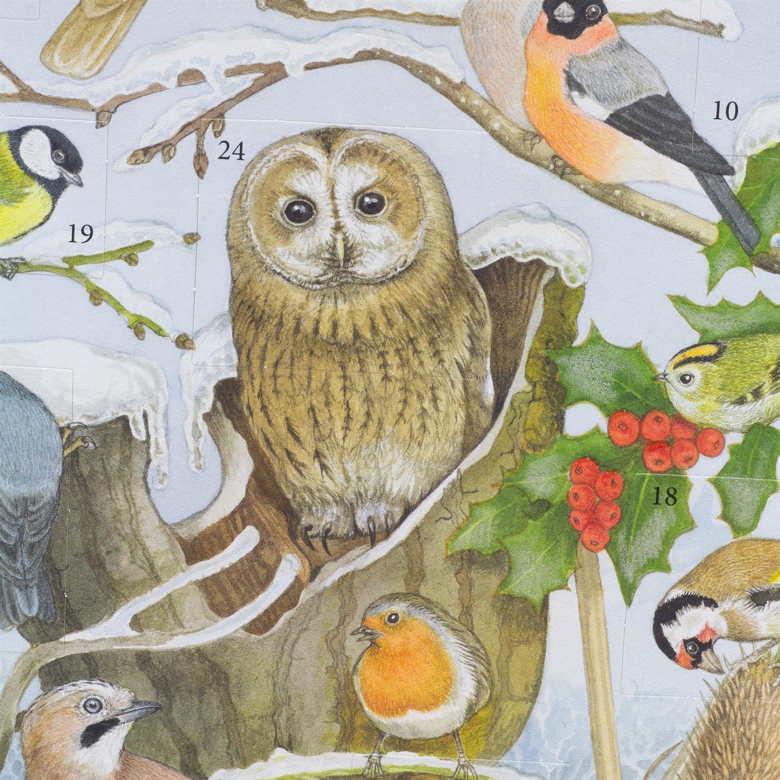 Birds in Winter Christmas Advent Calendar with Sound | Birdsong Advent  Calendar | eBay