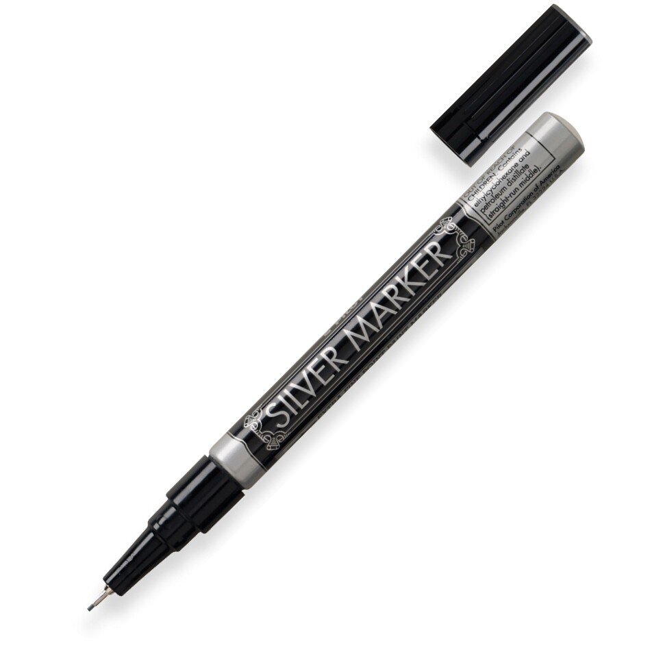 41801 Pilot Metallic Paint Marker, Extra Fine Needle Tip, Silver Ink, Pack of 12