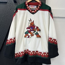 Vintage CCM Phoenix Coyotes Arizona Kachina NHL Hockey Jersey Size L