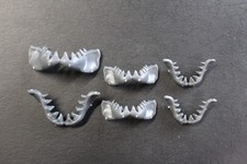 Warhammer 40k Space Marine Carcharodon Bits Shark Jaws