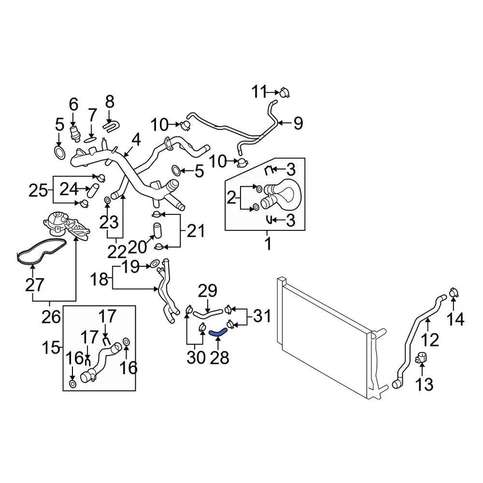 For Audi A6 2006-2011 Audi 4F0121055F Lower Radiator Coolant Hose - Image 3 of 4