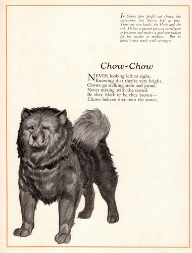 1920s Antique Chow Chow Print Poem Poetry Print Wessell Chow Art Gift 6149k