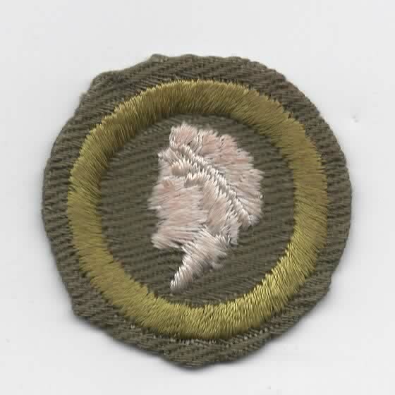 Sculpture Merit Badge Requirements