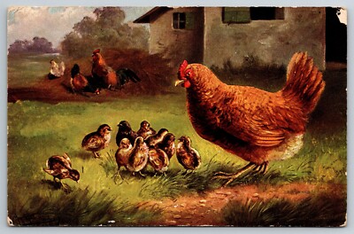 1908 Chickens Chicks Babies Roster Hay Oil Style Painting Postcard - B2