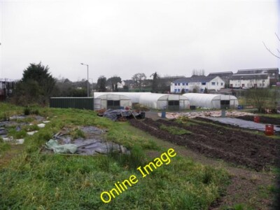 Photo 6x4 Gardening plots, Mullaghmore An Oghmagh Pictured along Old Moun c2013