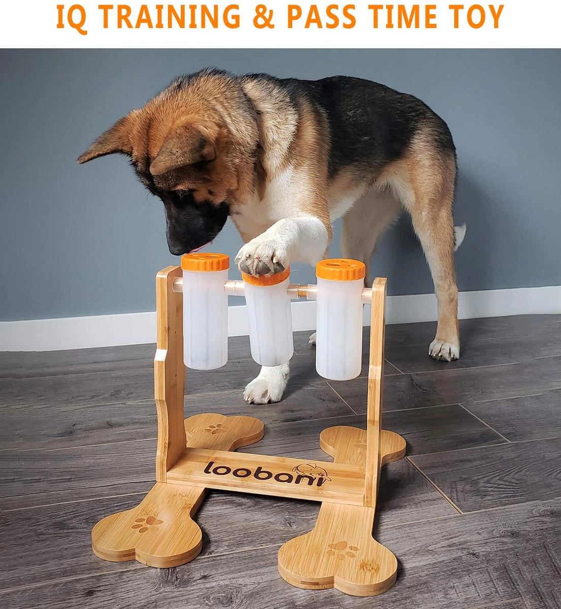 REVIEW Dog Food Puzzle - Slow Feeder and IQ Trainer 