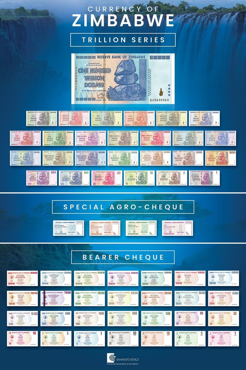 20 Zimbabwe 50 Billion Special Agro Cheque banknote 2008, P-63 USED COA