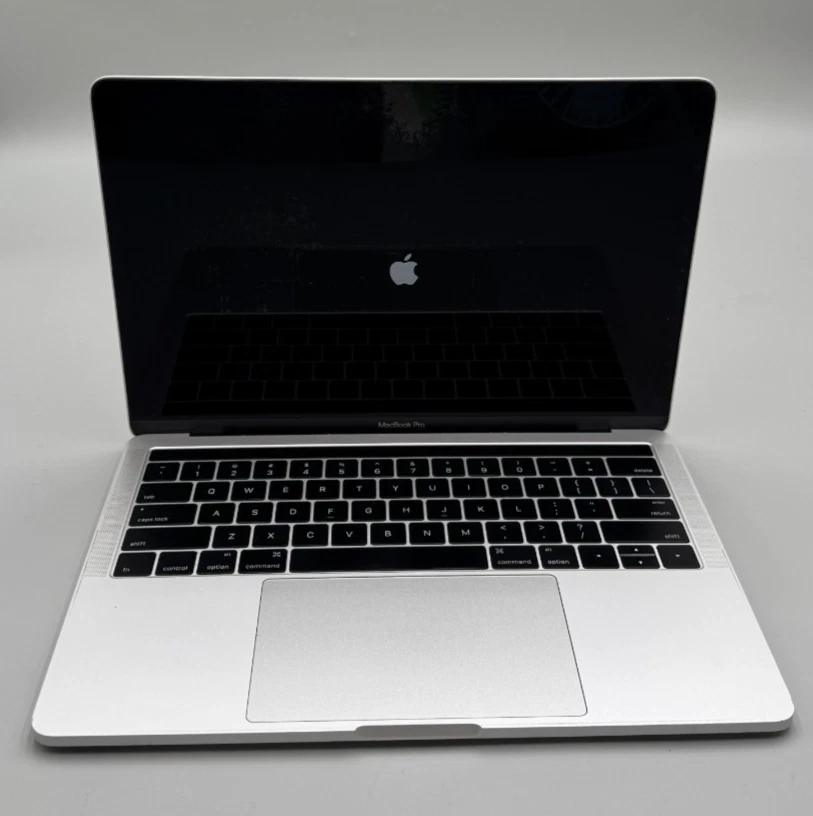 25+ Apple MacBook Pro 13-13.9 in Screen for sale | Updated Oct 2026