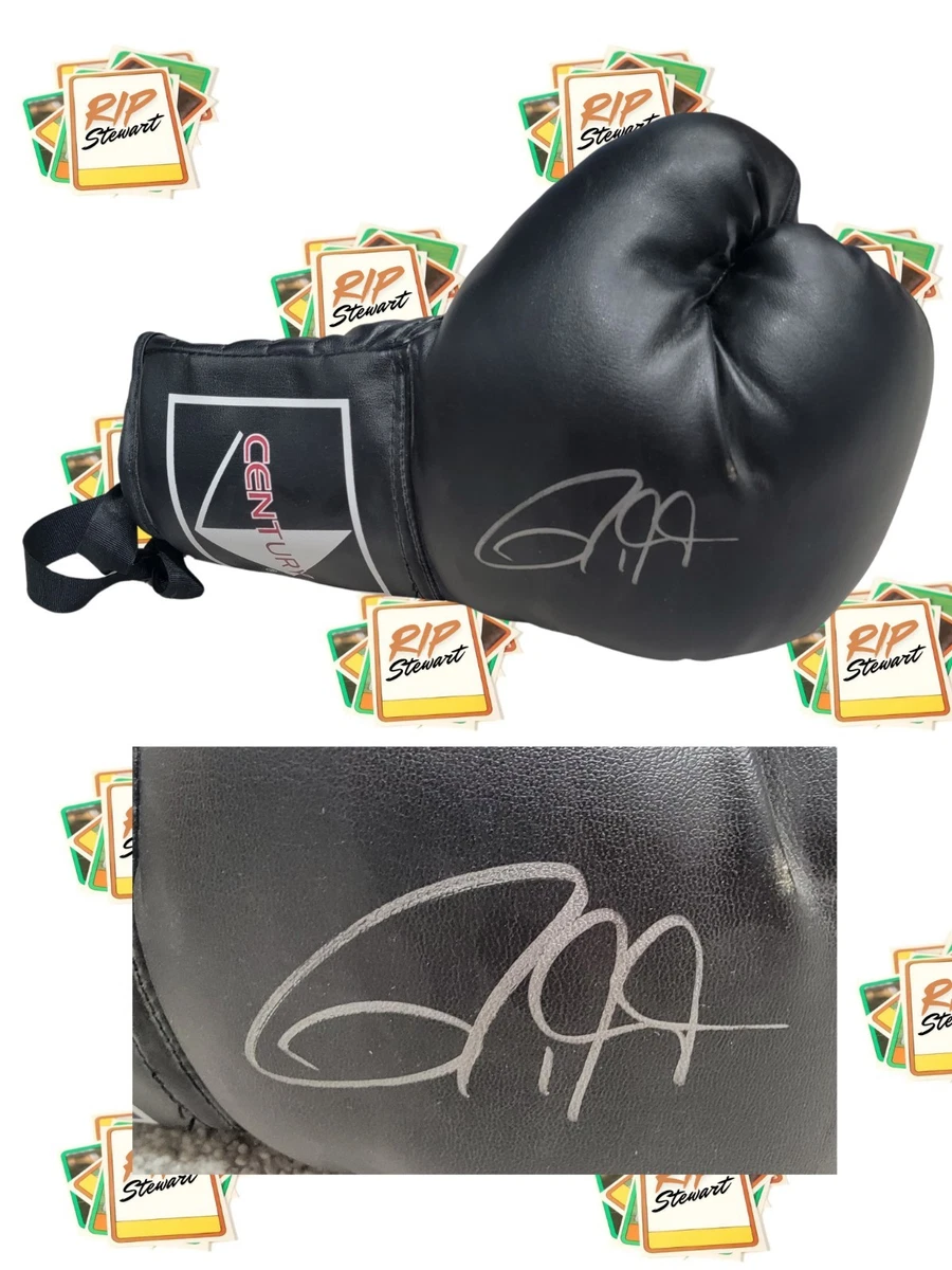 Roy Jones Jr. Autographed Boxing Gloves for sale | eBay