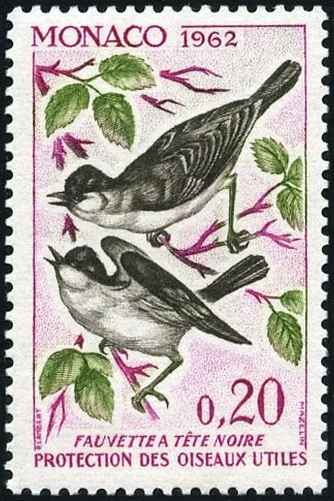 MÓNACO N° 584 "PÁJAROS, TORDO CABEZA NEGRA 20 C" NUEVO xx TTB - Imagen 1 de 1