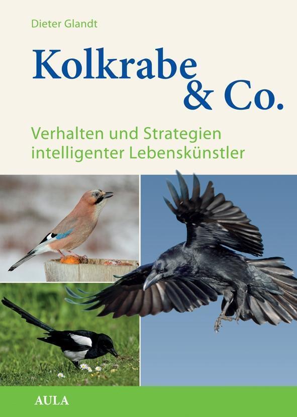 Thumbnail - Kolkrabe & Co. | Dieter Glandt | Buch | 160 S. | Deutsch | 2015