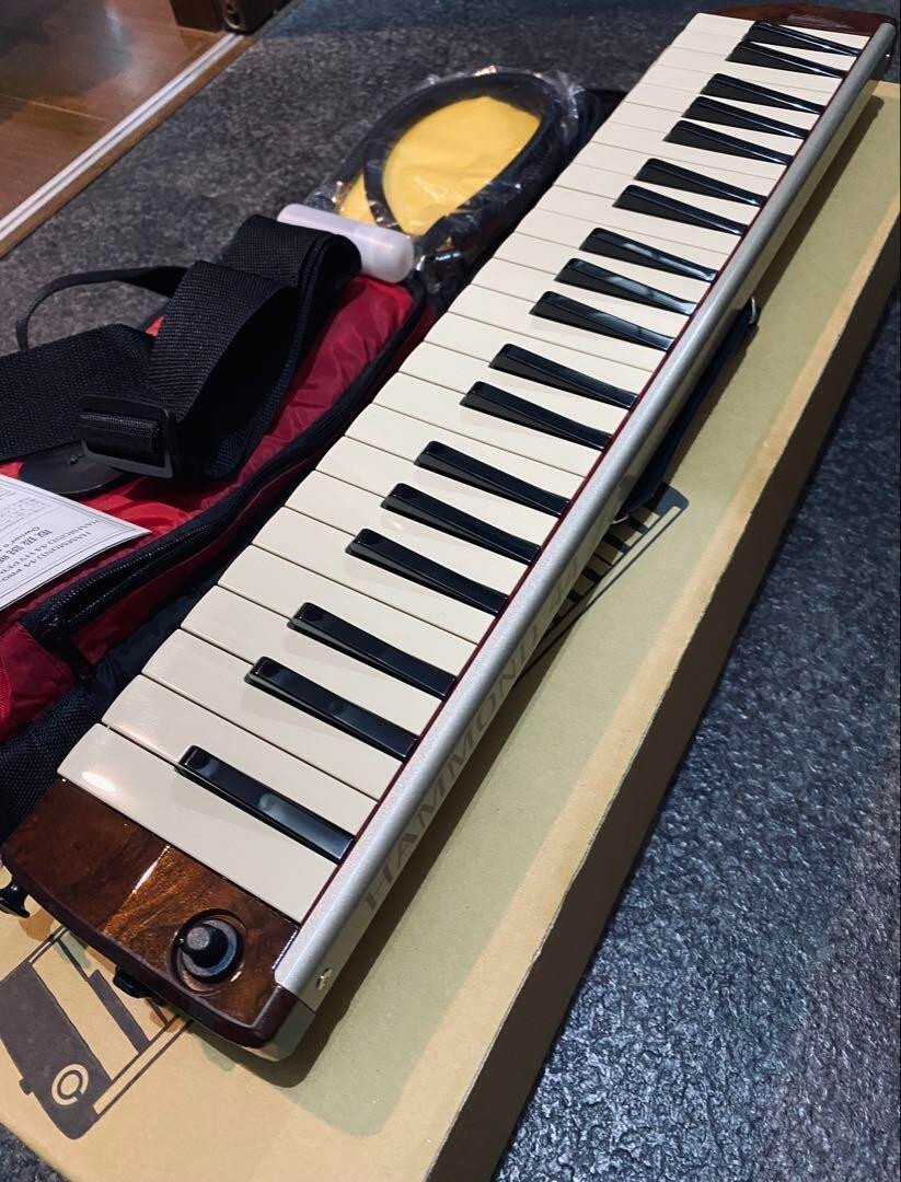 Hammond Pro 44H Hammond Acoustic-Electric Melodica R | eBay