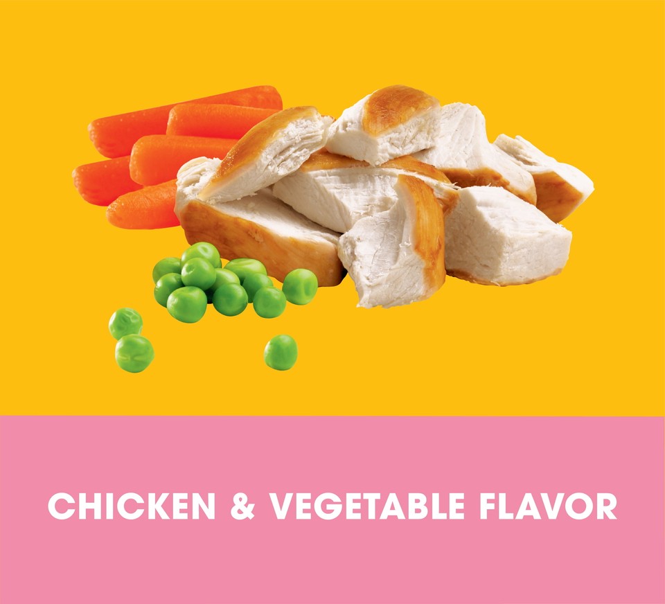 PEDIGREE Puppy Growth & Protection Dry Dog Food Chicken & Vegetable