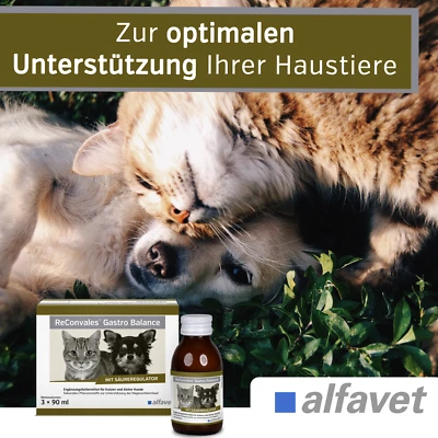 ALFAVET TIERARZNEIMITTEL GMBH ReConvales Gastro Balance Unterstützung Magenschleimhaut Verdauungsfördernd