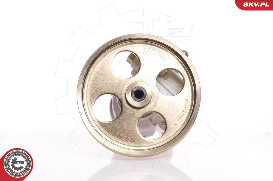 Fits SKV GERMANY 10SKV119 POWER STEERING PUMP  ⭐UK Stock⭐