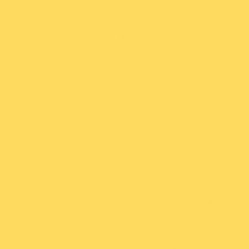 Confetti Cotton in Riley Yellow Confetti Cottons Riley Blake