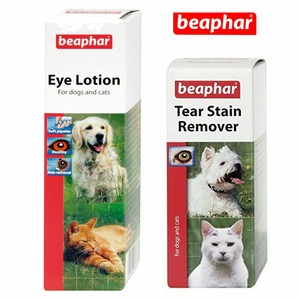 wisdom genetic testing