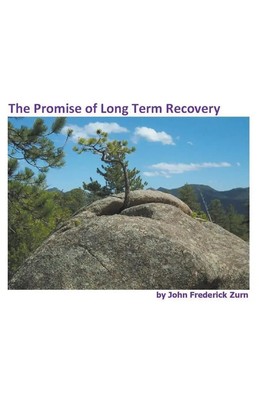 The Promise of Long Term Recovery | John Frederick Zurn | Taschenbuch | Englisch