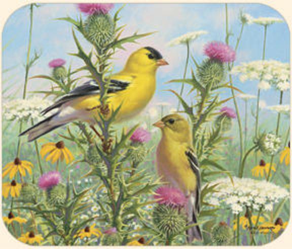 MOUSE PAD--GOLD FINCH--Printed in the U.S.A.--Polyester/Neoprene **Beautiful**-image