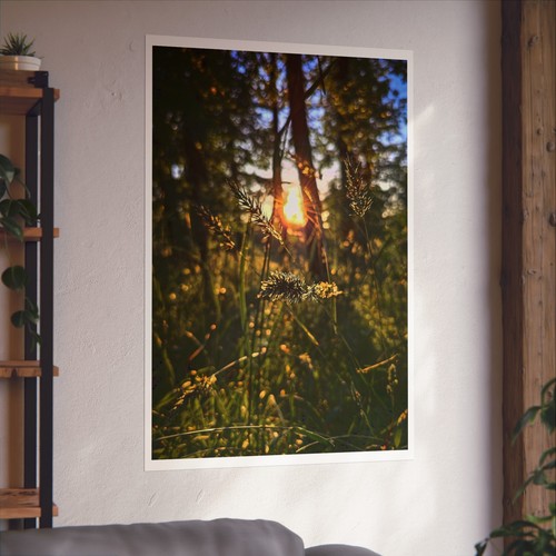 Fine Art Poster / Photograph - Sunset WashPA Park 1 2024 - Picture 13 of 13
