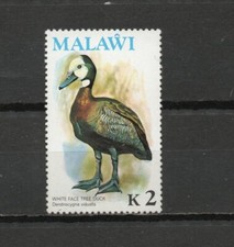 MALAWI 1975- CANARD COMME NEUF** (MNH) PAS DE CHARNIÈRE