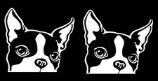 Boston Terrier Two PK 5" White Vinyl Decal Car Truck Van SUV Laptop Tablet