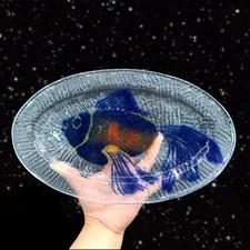 Large Fused Studio Art Glass Fish Tray Dish Hand Made Clear Glass 13.5”Long 8”W