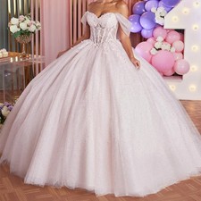 Light Pink Princess Dresses Quinceanera Dresses Applique Lace Beads Party Gowns