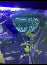 Beta Fish Hide Floating Aquarium Decoration 3D Printed