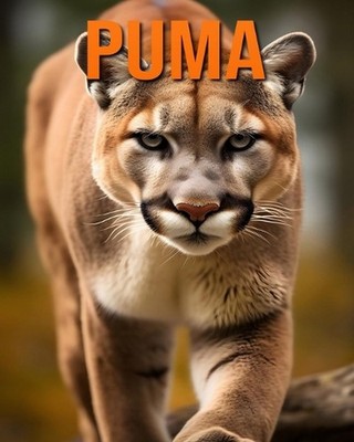 Puma: Datos e im?genes divertidas y fascinantes sobre los Puma by Raine Hawthorn