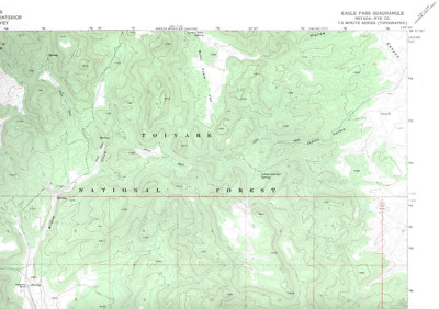 Eagle Pass, Nevada 1971 Vintage USGS Topo Map 7.5 Quadrangle Topographic