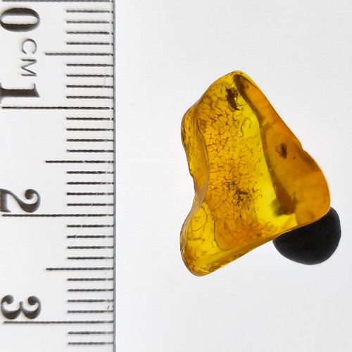 Baltic Amber natural w/ two insect fossil inclusions polished gemstone 4.3ct - Picture 5 of 7