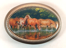 Watering Horses Western Metal Belt Buckle With Celluloid/Vinyl Insert