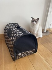transportin gato